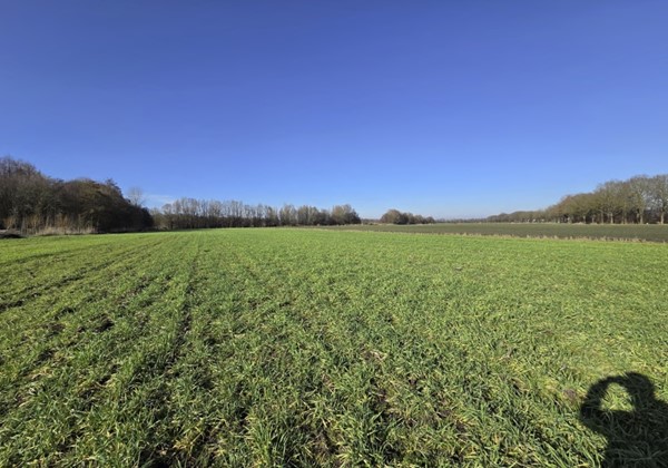 Medium property photo - Koevoortseweg, 5281 SC Boxtel